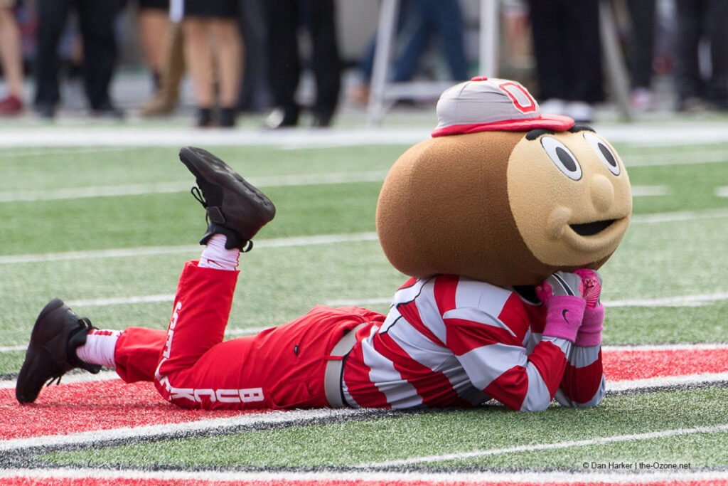 Image of Brutus the Buckeye Daydreaming in the shoe.